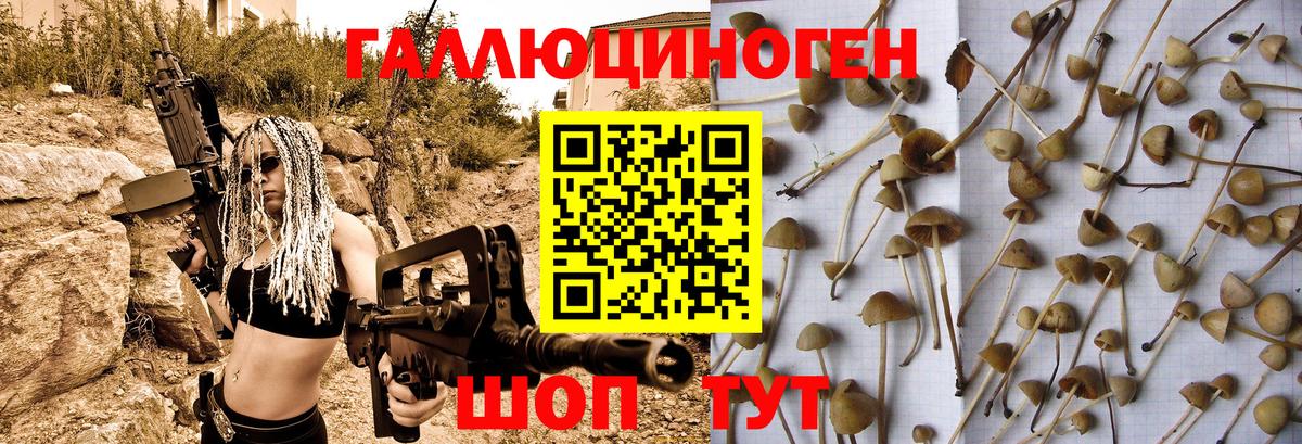 Ессентуки  Псилоцибиновые грибы Cubensis  Вход с VPN 